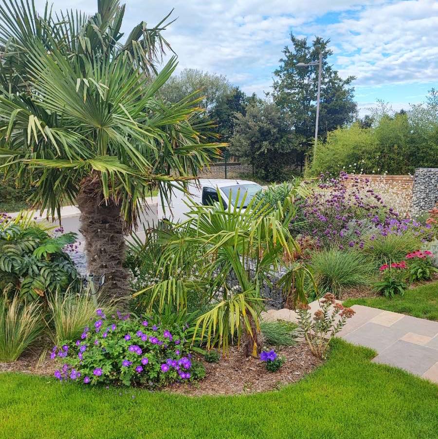 réalisation jardin 3 P&Co