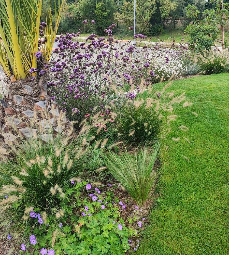 réalisation jardin p&co